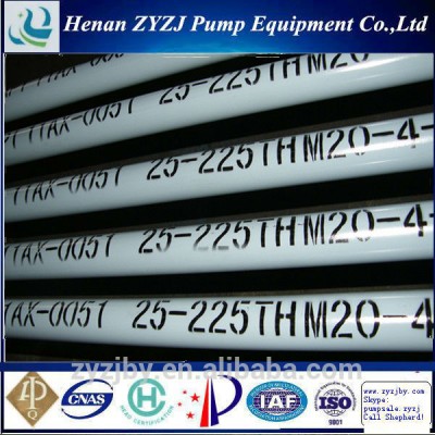 Long Plunger Anti Sand Downhole Tubing Pump for Special Oil Well